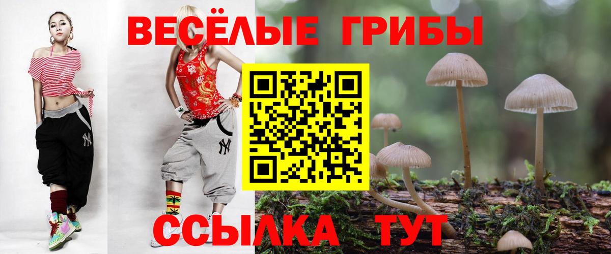 Псилоцибиновые грибы Magic Shrooms Вышний Волочёк